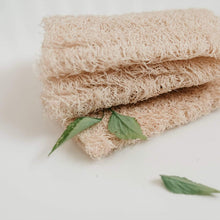 Load image into Gallery viewer, Loofah Sponge Pack
