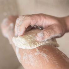 Load image into Gallery viewer, Loofah Sponge Pack

