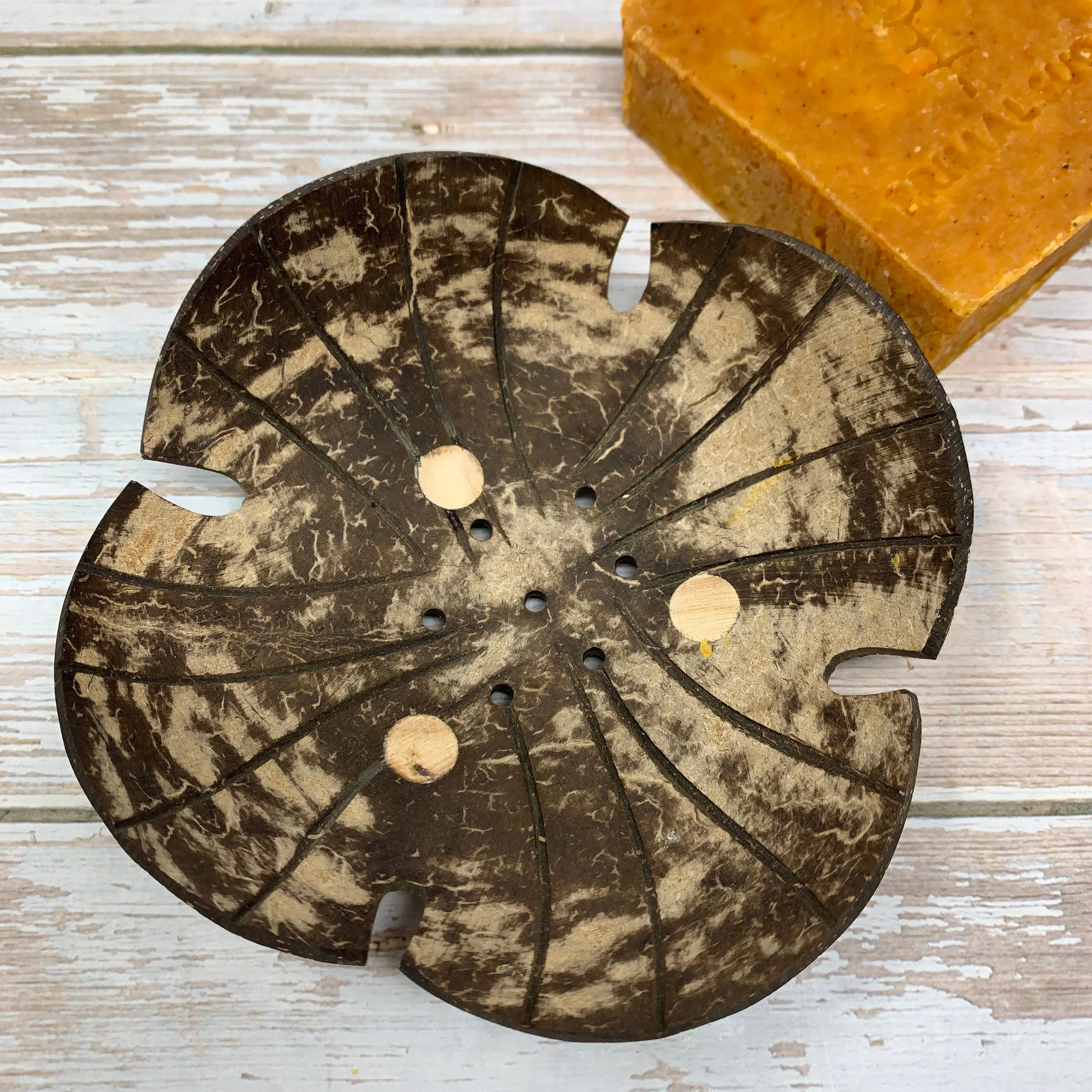 Coconut Shell Soap Dish