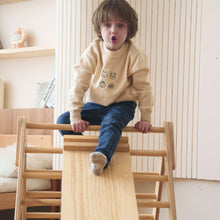 Load image into Gallery viewer, Olive- Pikler Triangle Ladder and Climber Slide - Multiple Sizes
