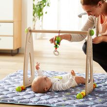 Load image into Gallery viewer, HABA Color Fun Wooden Eco-Friendly Non-Toxic Baby Play Gym Activity Center
