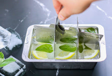 Load image into Gallery viewer, Ecozoi Stainless Steel Ice Cube Trays with Easy Release, 2 Pack, 12 Large Cubes
