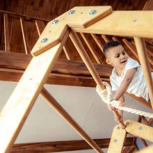 Load image into Gallery viewer, Goodevas Indoor Montessori-Inspired Natural Wooden Playhouse with Triangle ladder, Slide and Swings
