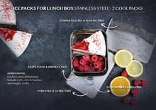 Load image into Gallery viewer, Ecozoi Stainless Steel Freezer PACKS FOR LUNCH Boxes and Lunch Bags, 2 Pack
