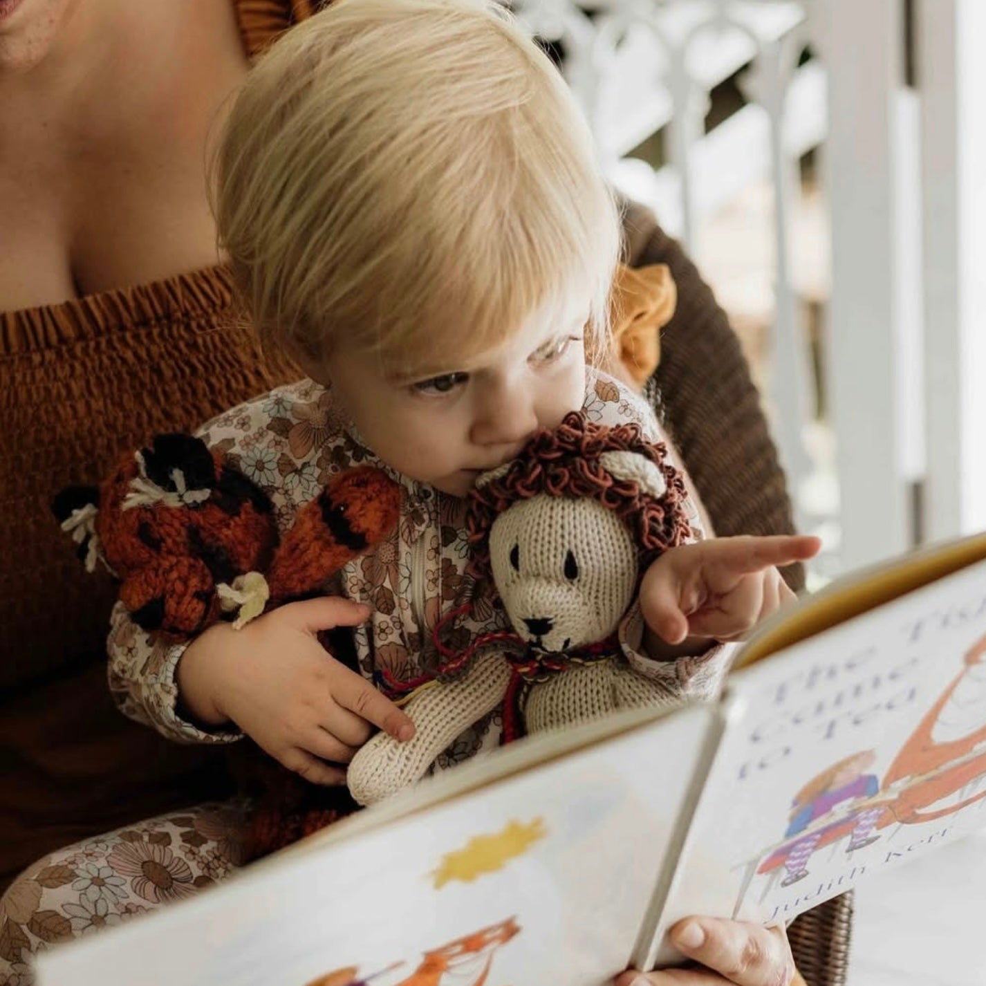 Wool Knit Buddy  | Lionel the Lion