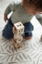 Load image into Gallery viewer, Wooden Math Blocks in White - Wood
