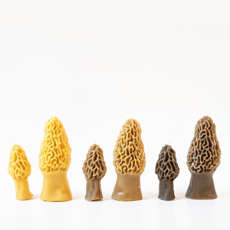 Beeswax Morel Mushroom Candle - Thumbnail 4