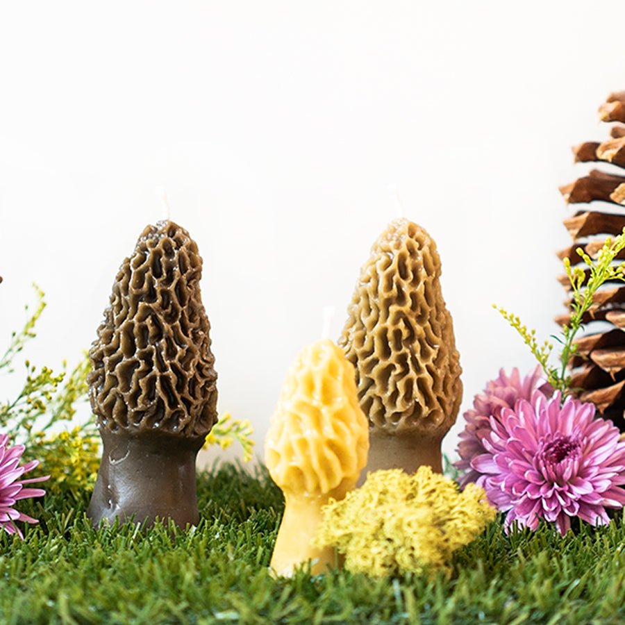 Beeswax Morel Mushroom Candle - Thumbnail 5