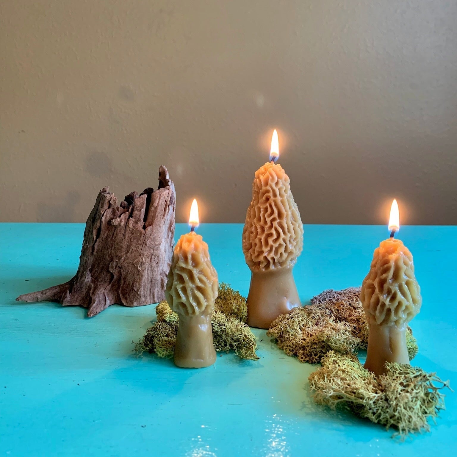 Beeswax Morel Mushroom Candle - Thumbnail 3