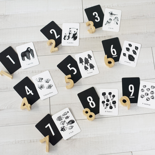 Wee Gallery Nature Counting Adventure Bundle | Bamboo Numbers and Number Cards