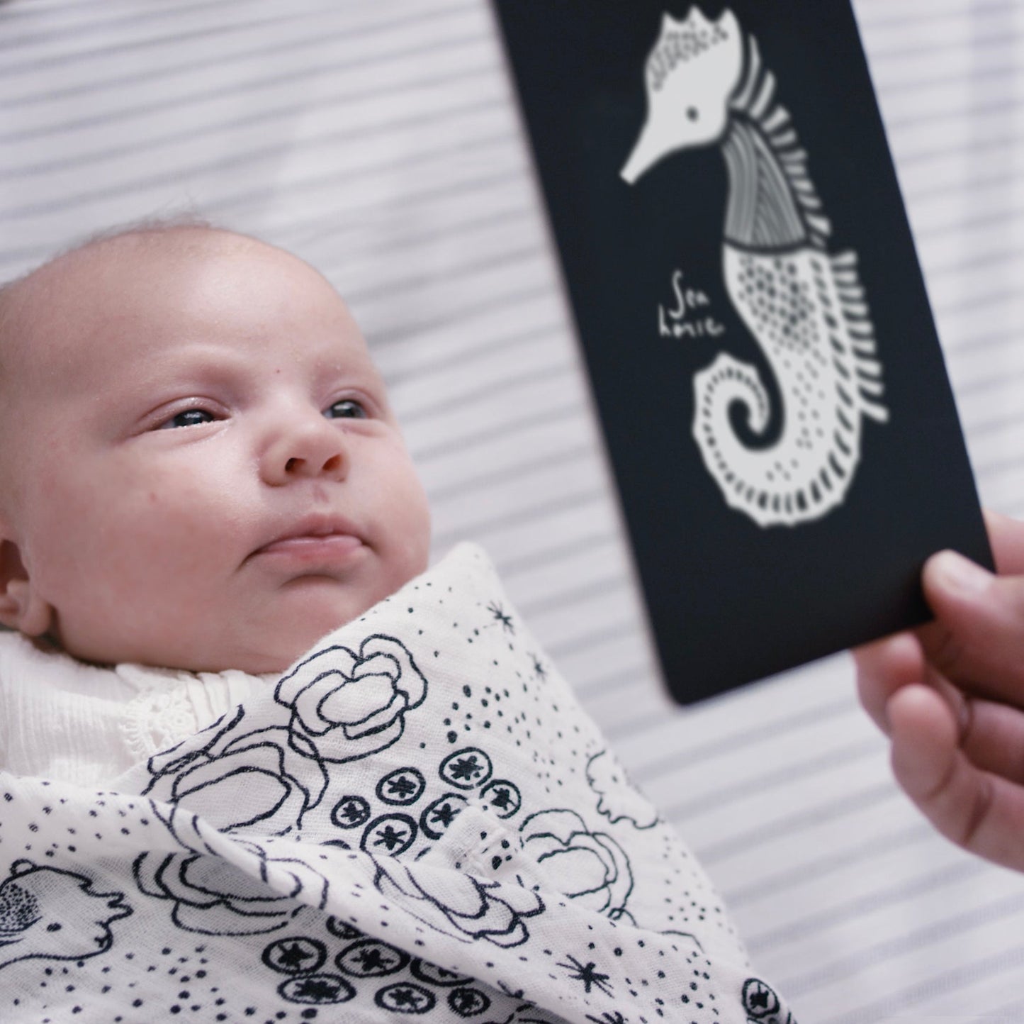 Wee Gallery Organic Eco-Friendly Newborn Baby Gift Set | Ocean