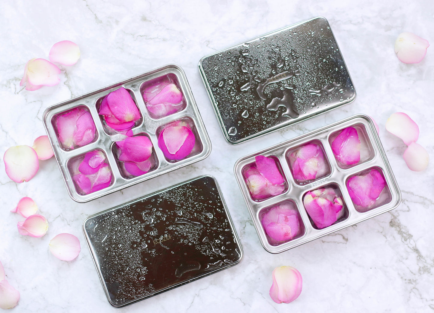 Ecozoi STAINLESS STEEL ICE CUBE TRAYS, 12 Large Cubes, 2 PACK