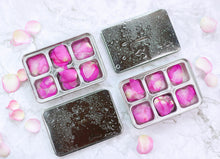 Load image into Gallery viewer, Ecozoi STAINLESS STEEL ICE CUBE TRAYS, 12 Large Cubes, 2 PACK
