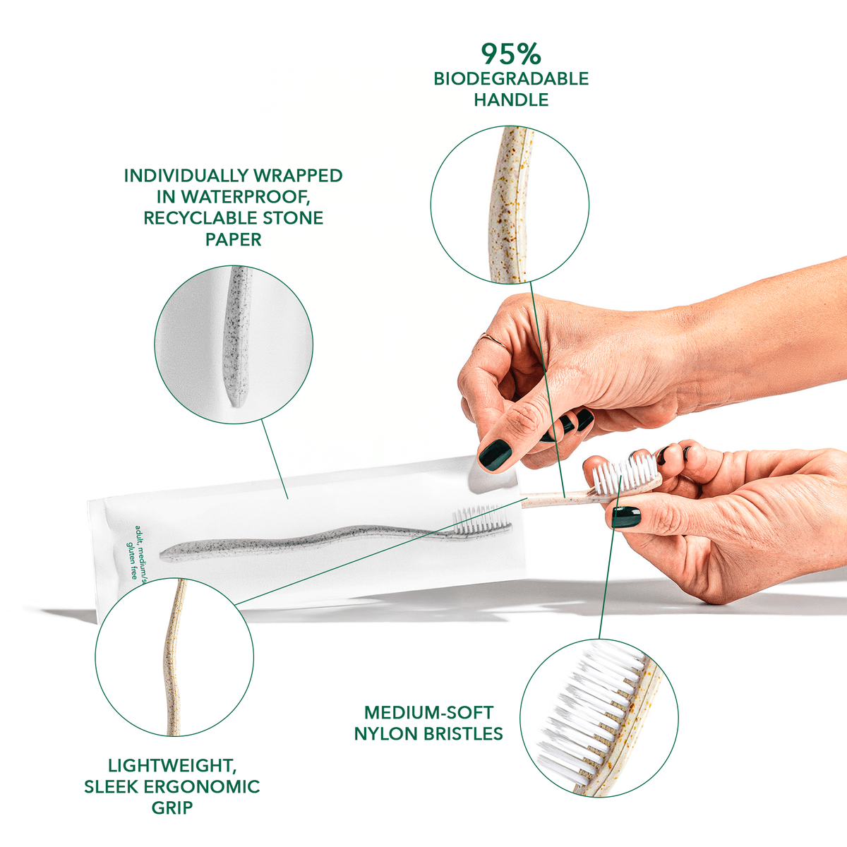 Wheat Toothpaste Gentle Green Toothbrush Family Pack (10 Count) – Eco-Friendly Wheat St ...
