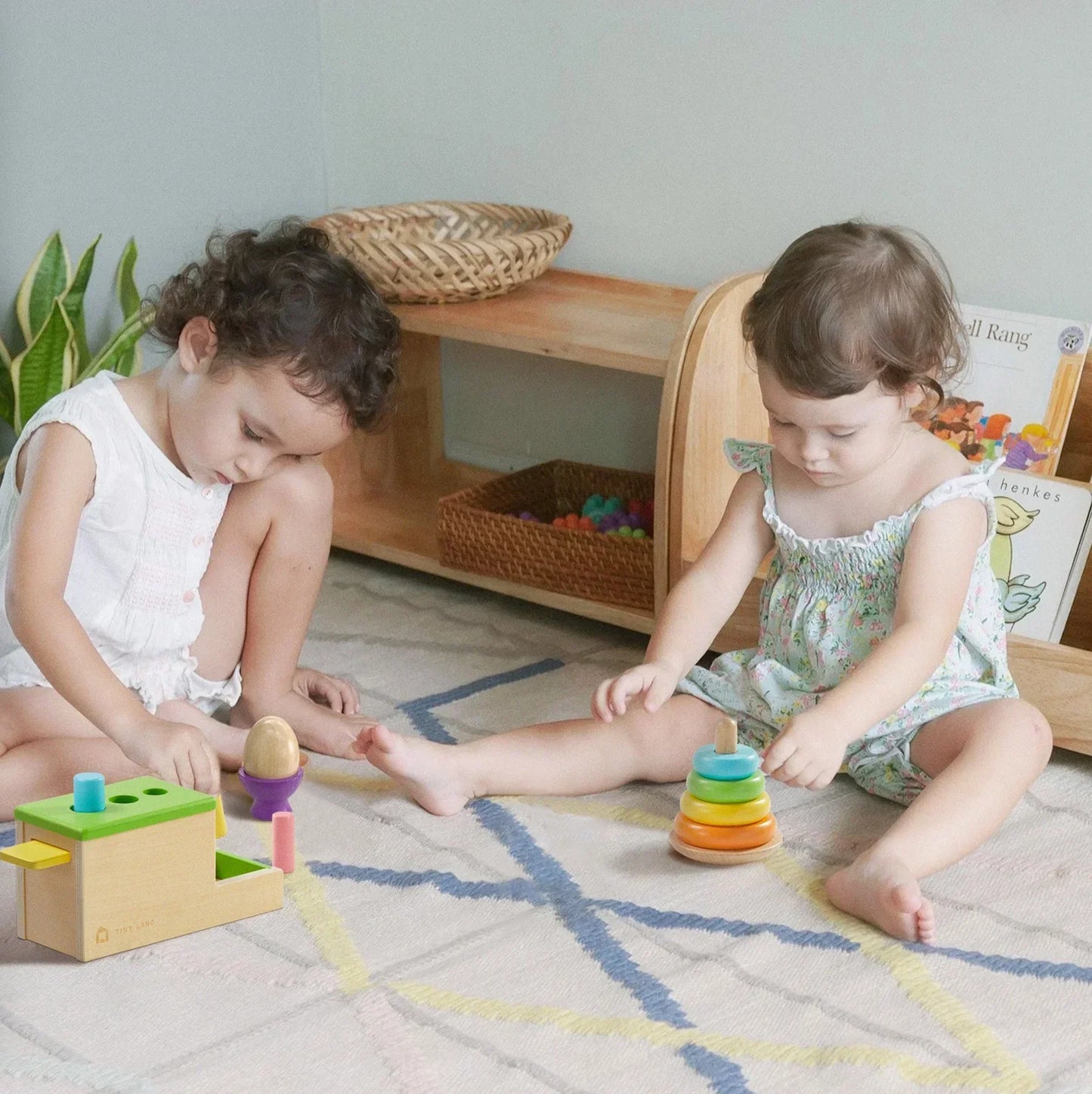 Tiny Land® Montessori Eco-Friendly Toys Set for Infants (10-12 month)