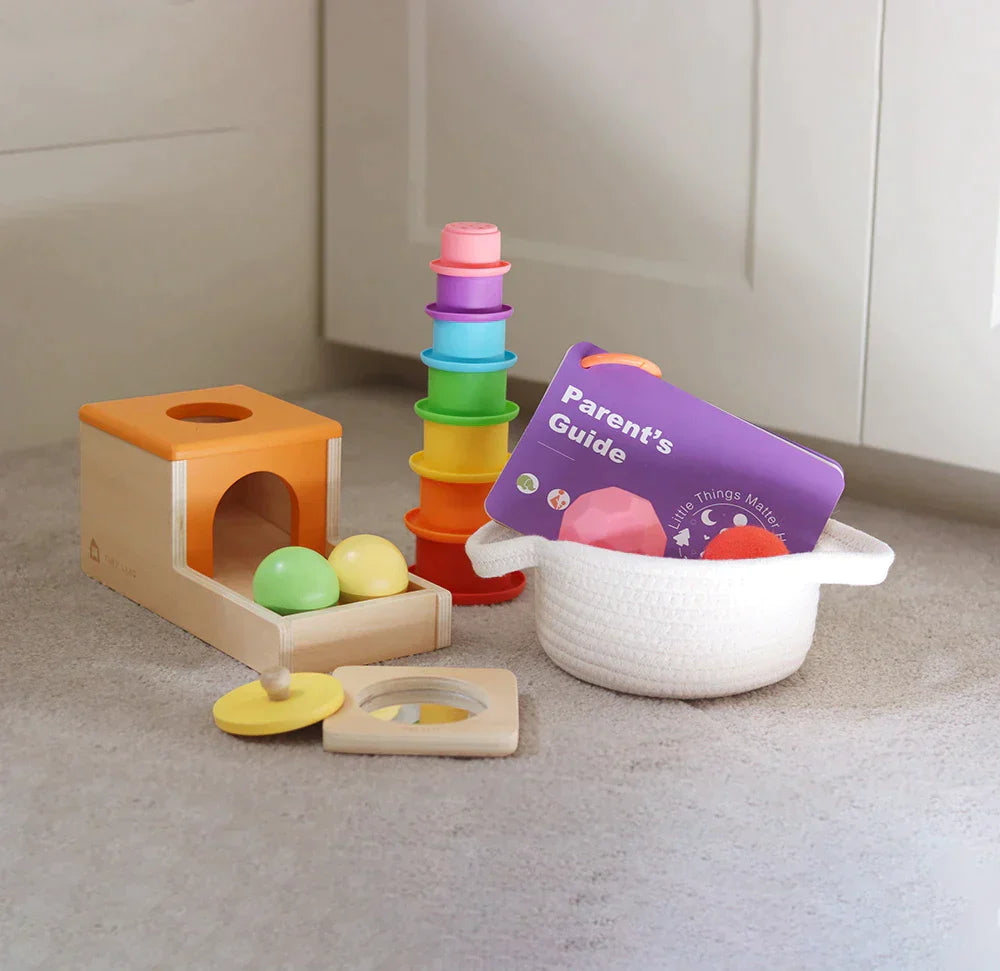 Tiny Land® Montessori Toys Set for Babies (6-9 month)