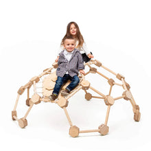 Load image into Gallery viewer, Montessori Climbing Dome: Eco-Friendly Natural Wood Indoor Playground for Kids 3-6 Years
