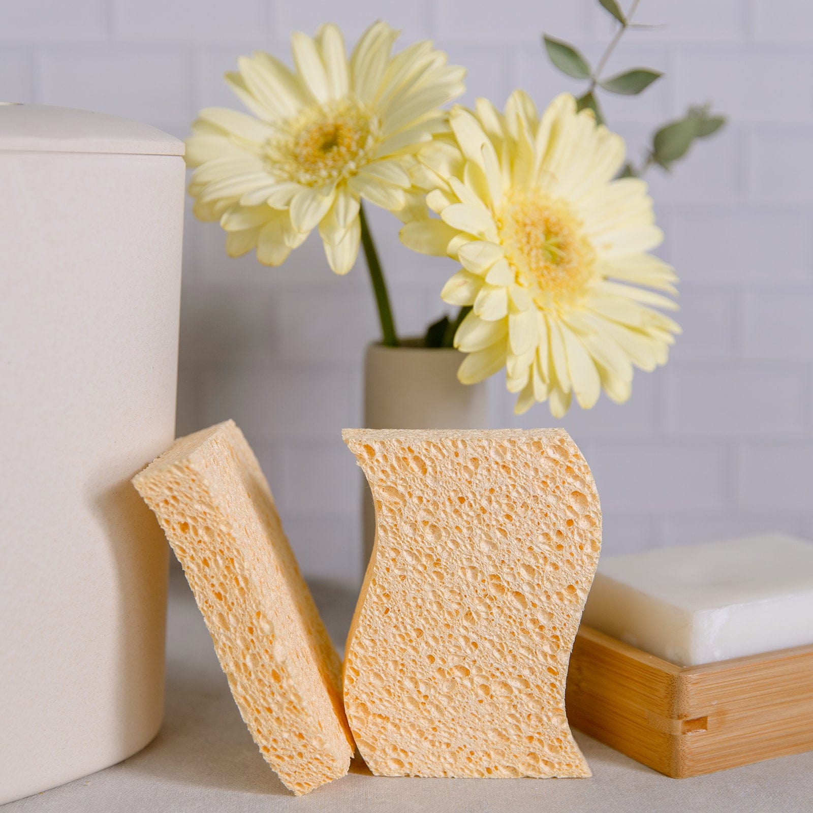 Biodegradable Kitchen Sponges