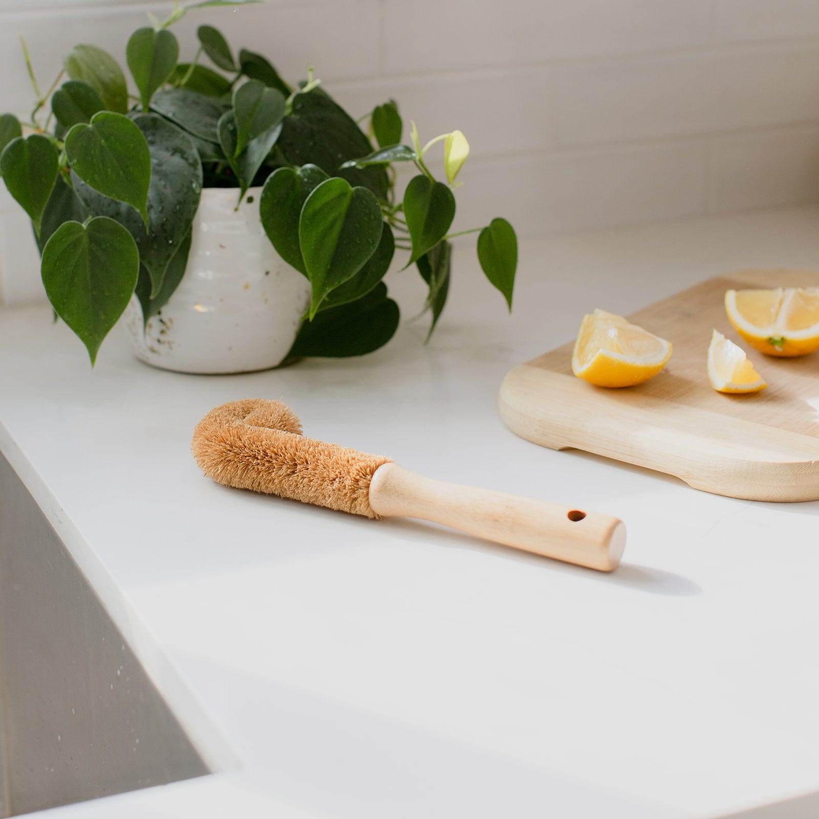 ZeroWasteStore.com Bottle Cleaning Brush