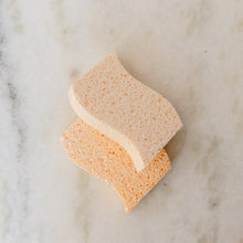 Load image into Gallery viewer, Cellulose Kitchen Sponges
